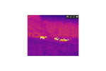 Monocular de imagen térmica AGM Taipan TM Serie 256