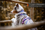 Collar Edición Rachel Pohl