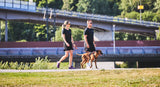 Correa de perros Move