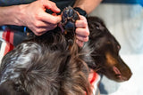Pomada para patas / Paw care