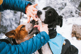 Pomada para patas / Paw care