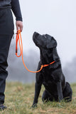 Correa de perros Retriever
