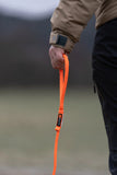 Correa de perros Retriever