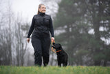 Correa de perros Retriever