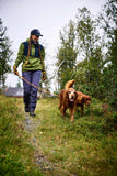 Correa de perros Retriever