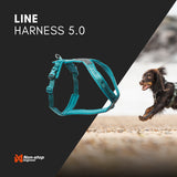 Arnés Line 5.0