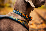 Collar Edición Rachel Pohl