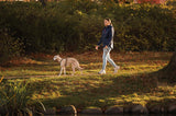 Correa de perros Edición Rachel Pohl